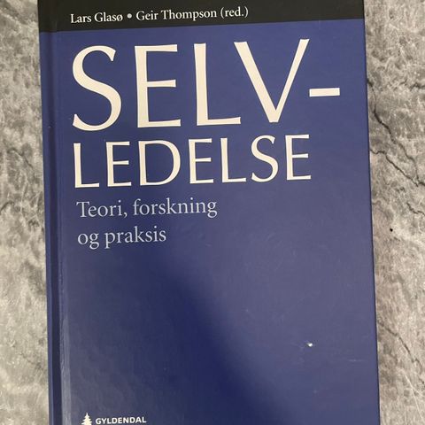 Selvledelse - teori, forskning og praksis