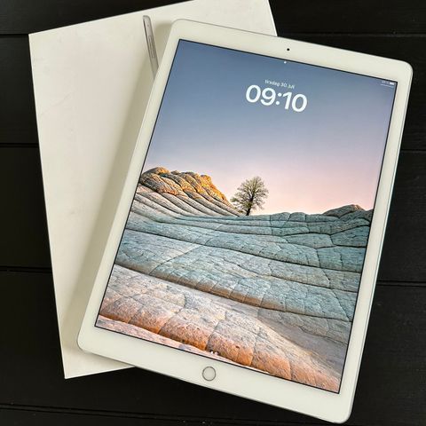 RESERVERT - iPad Pro 12.9" (2015) (1..gen) Lite og pent brukt