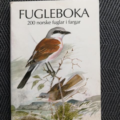 Fugleboka. 200 norske fuglar i fargar