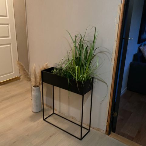 Plant box