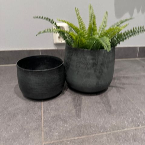 To potter og plante
