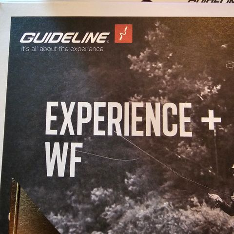 Guideline Experience +