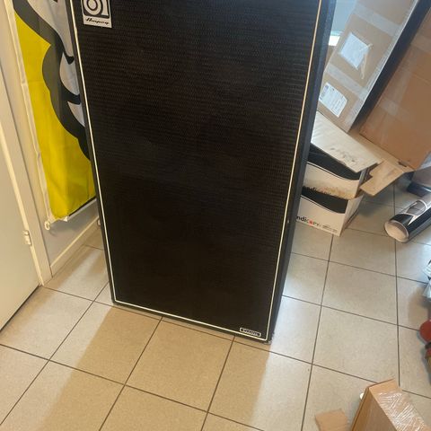 Ampeg 8x10