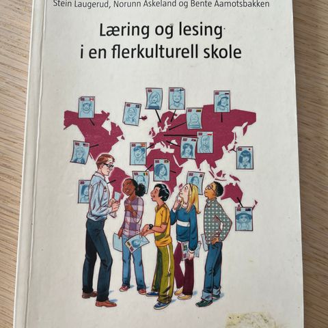 Læring og lesing i en flerkulturell skole