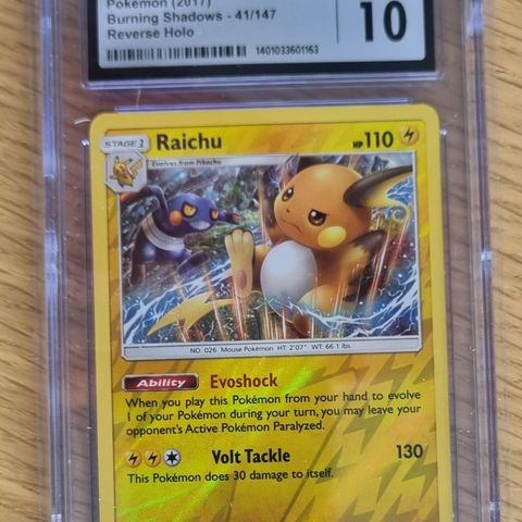 Raichu [Reverse Holo] 41/147