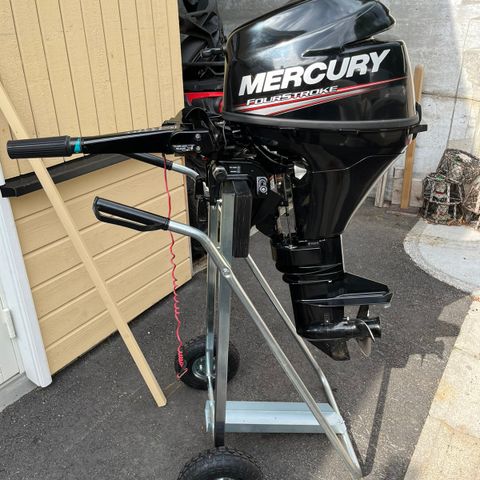 Mercury Four Stroke 9.9 årgang 2020