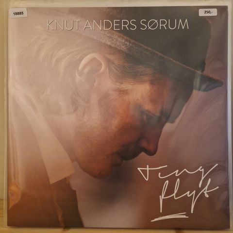 18885 Sørum, Knut Anders - Ting Flyt - LP