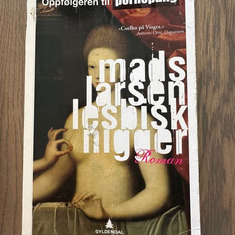 Mads Larsen «Lesbisk nigger» i pocket utgave