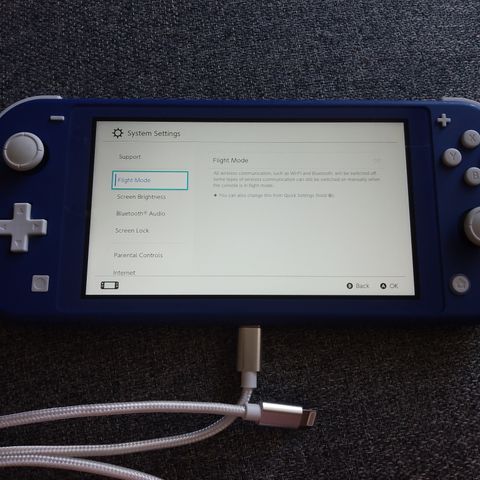 Nintendo switch lite