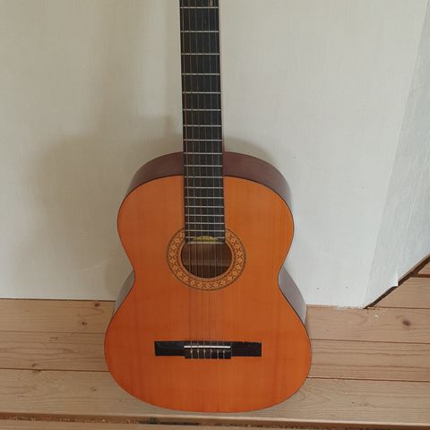 Aria model 573, akustisk gitar