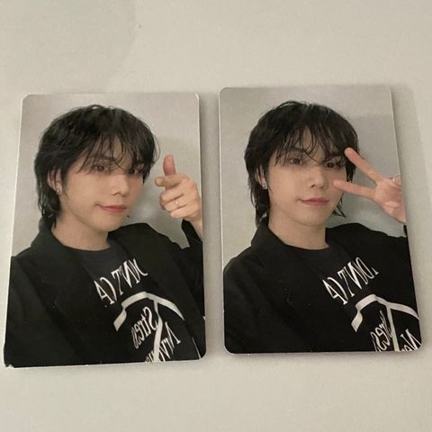 Rocky photocards