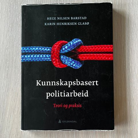 Kunnskapsbasert politiarbeid