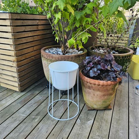 Audo Copenhagen Wire Pot