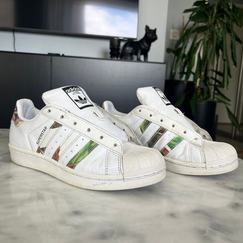 Sneakers, sko, Adidas superstar