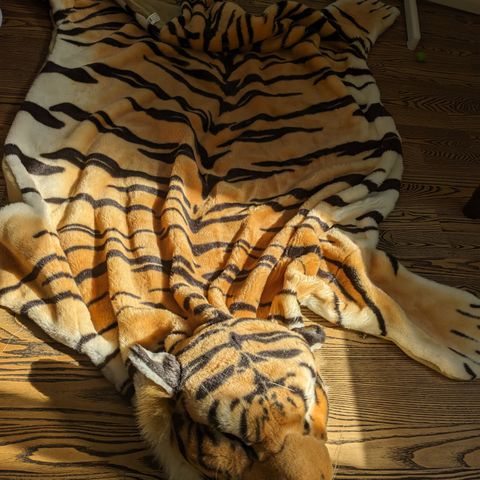 "Tiger" teppe/leketøy/kostyme