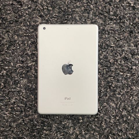 iPad mini