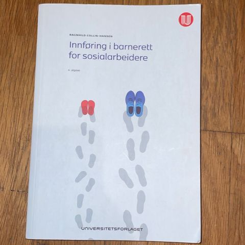 Innføring i barnerett for sosialarbeidere