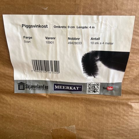 Museband/ piggsvinkost