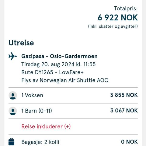 2 Flybilletter Gazipasa - Oslo gardemoen 20.08.2024