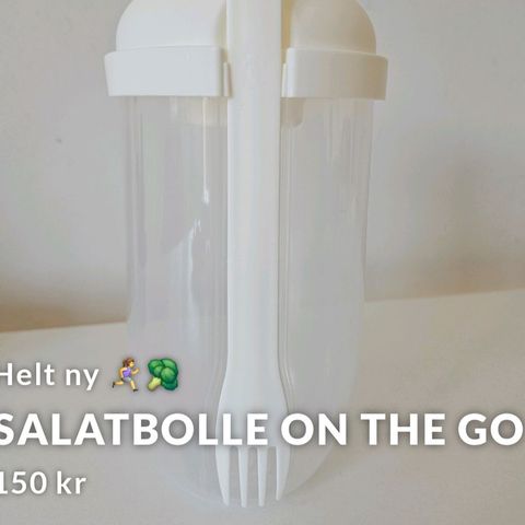 Portabel Salat-fruktbolle - helt ny