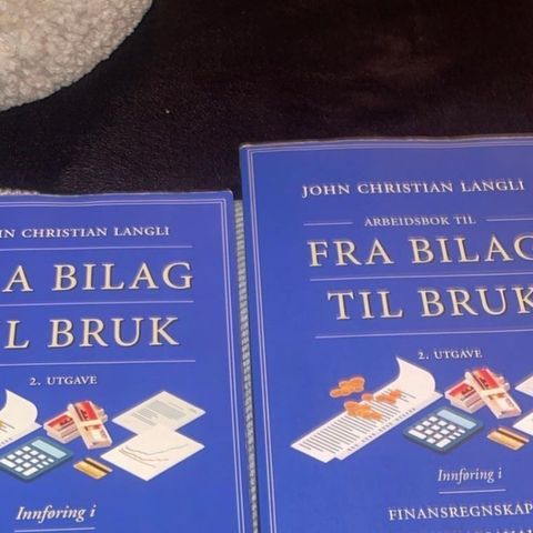 Fra bilag til bruk - finansregnskap og regnskapsanalyse