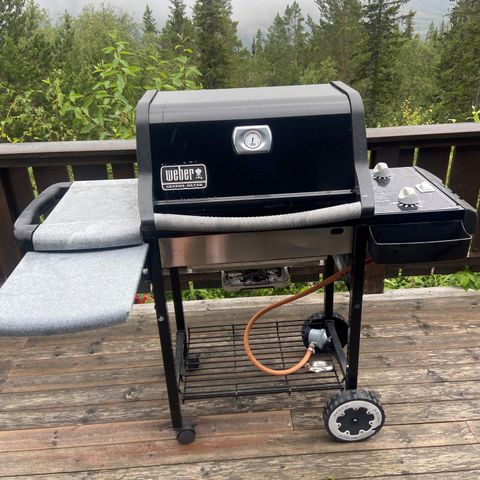 Weber Genesis Silver Grill