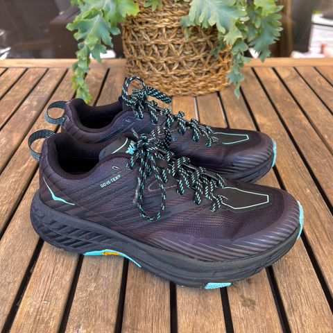 Hoka speedgoat