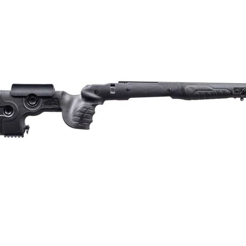 GRS bifrost Blaser R8x