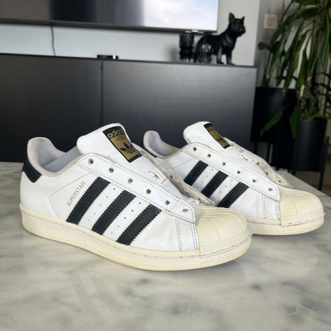 Sneakers, Adidas superstar