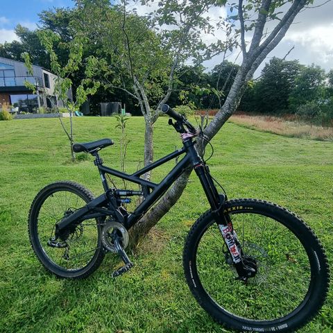 Cannondale Gemini downhill/freeride str L