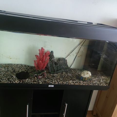 Akvarium Juwel 180 Liter