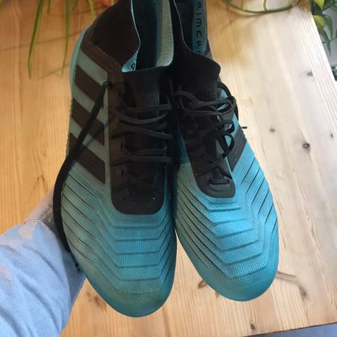 Adidas predator elite AG sko størrelse 43 1/3