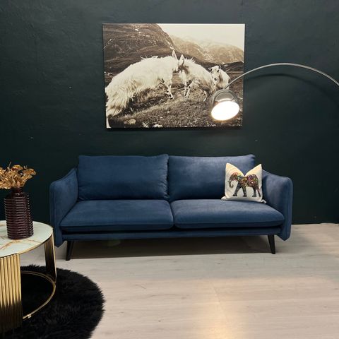 GRATIS LEVERING - KUPP! Nyrenset strøken Vilmers Hauk 2,5 seter design sofa