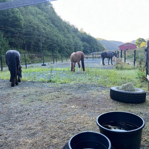 Ledig stallplass hos Åsane Rideklubb