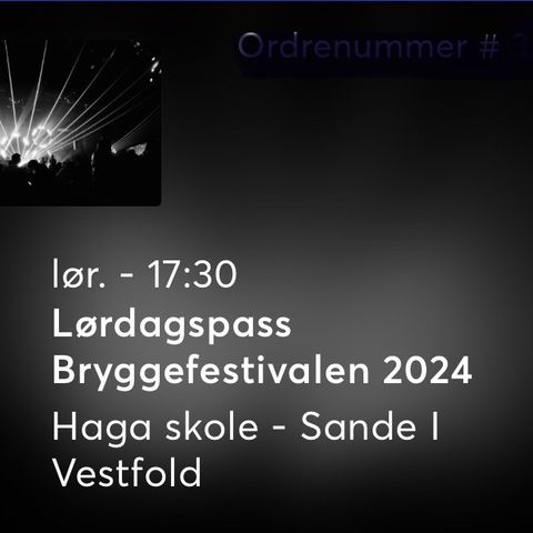 Lørdagspass Bryggefestivalen 2024 på Haga skole Sande i Vestfold