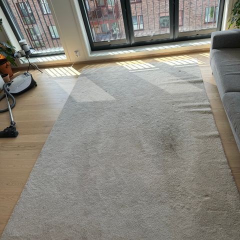 IKEA Stoense gulvteppe 200x300 cm svært billig