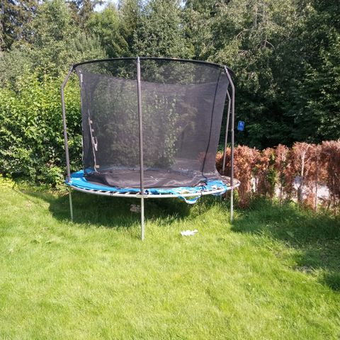 Trampoline