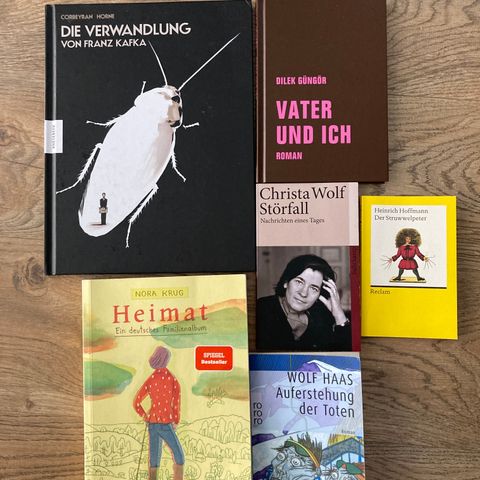 Tyske bøker - Heimat, Vater und ich, Störfall m. fl.