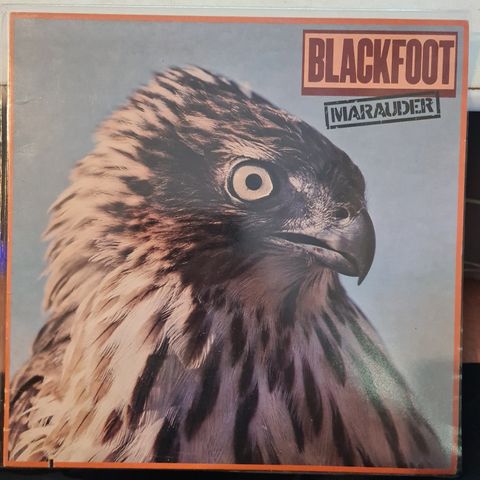 Blackfoot