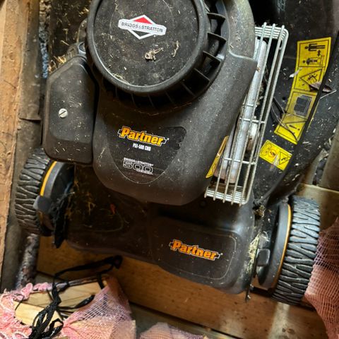 Briggs and Stratton Partner