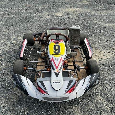 Gokart Rok  jr 125