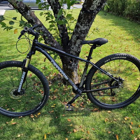 Cannondale trail 29 M