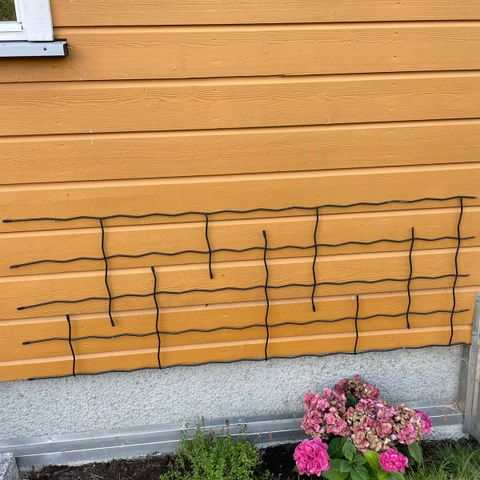 Espalier med løvdekor