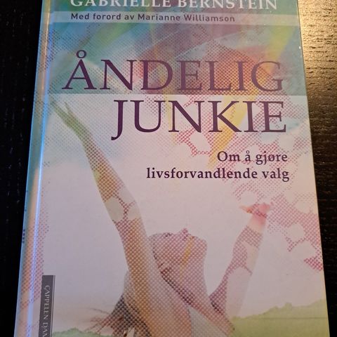 " Åndelig junkie-Om å gjøre livsforvandlende valg" av Gabrielle Bernstein