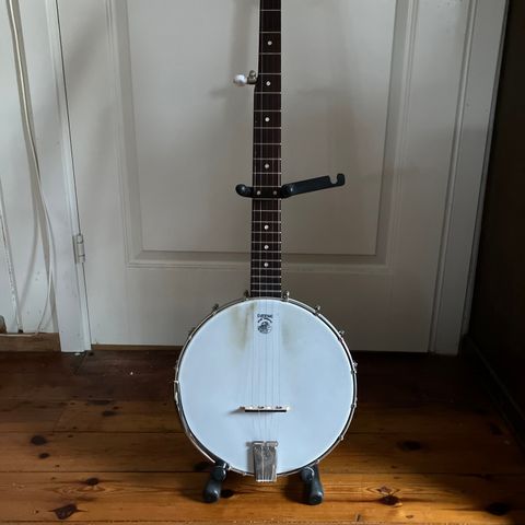 5-strengs banjo