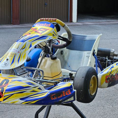 Løps- og treningsklar Gold kart 2020, motor med mini-oppsett (10-13 år)