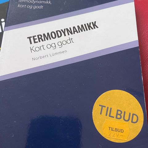 Termodynamikk