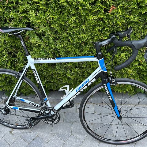 Gavia Trieste landevei/racer, ultegra, 58 cm