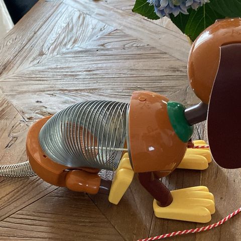 slinky dog