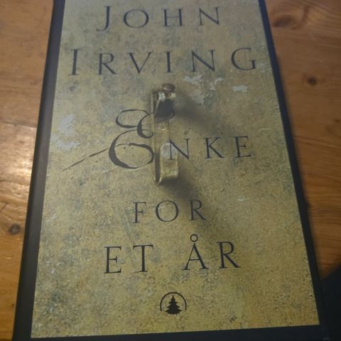 John Irving - Enke for et år